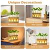 With Wood Stand Hydroponics Plants Glass Terrarium Adjustable Transparent Propagation Tube  Desktop