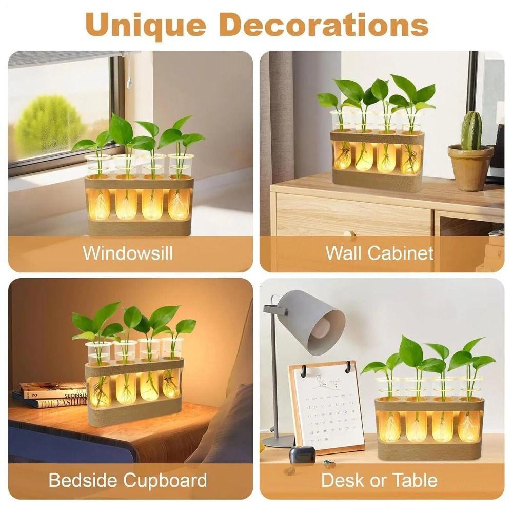 With Wood Stand Hydroponics Plants Glass Terrarium Adjustable Transparent Propagation Tube  Desktop