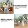 Artibetter 2pcs Tin Watering Can Vases for Centerpieces Mini Flower Pots Mini Metal Buckets Retro Flower Pot Bucket Plants Watering Pot Watering Can