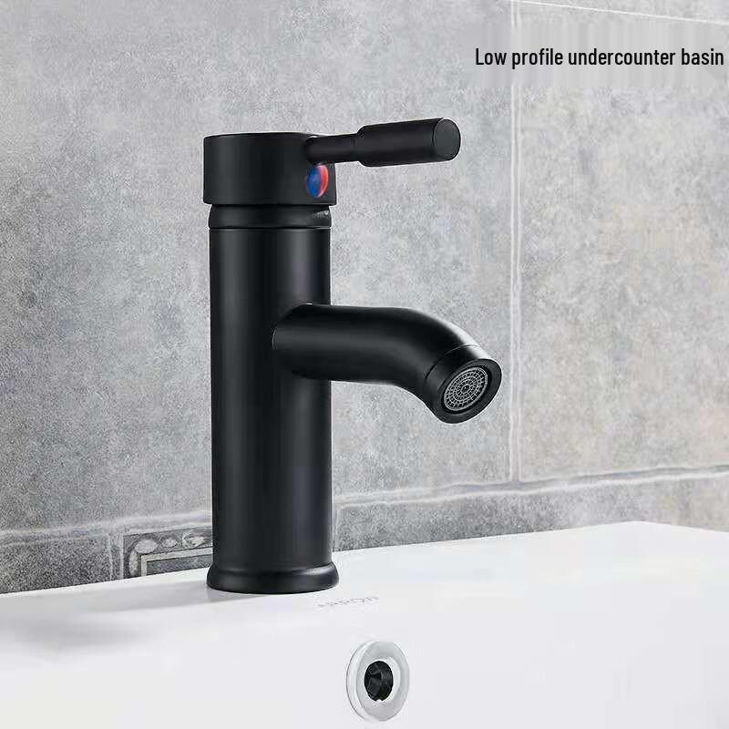 

TLXT Stainless Steel Hot & Cold Basin Mixer Faucet