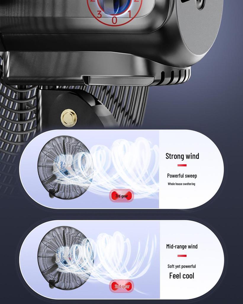 High Power Industrial Fan: Floor, Wall, Exhaust Options for Large Airflow & Formaldehyde Removal