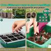 Seed Starter Tray With Grow Light,5 Pack Seed Starter Kit,Increase Germination Rate&Adjustable Humidity Seed Starter