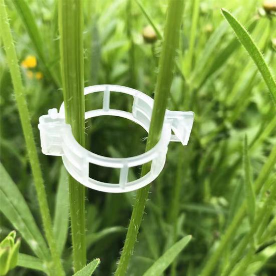 100/200/300 Pcs Plant Clips Plastic Plant Support Clips Reusable Tomato Trellis Clips for Climbing Plants Vines Cucumbers Indoor Outdoor Use