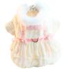 Dog Clothes Autumn and Winter Clothing Thick Cat Princess Dress Soft Fluff Can Be Towed Small Dog Teddy Pet Supplies