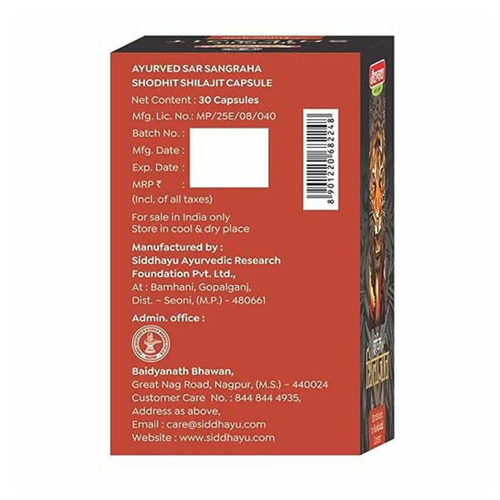 Baidyanath Asli Ayurved Shilajit Capsules For Men 30 Count Energy Vitality Supplement