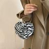 Autumn and winter bag 2025 new Korean version of fashion leopard print personalized ins women's crossbody shoulder love bag tide