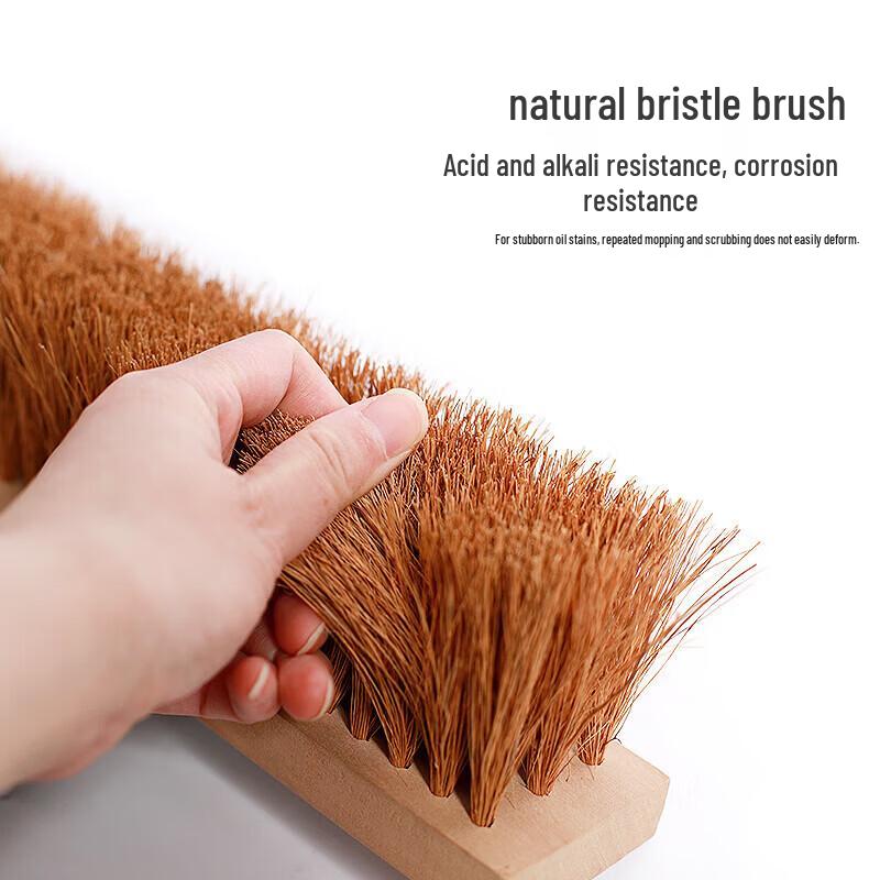 Yueyu Long-Handled Bristle Floor Scrub Brush