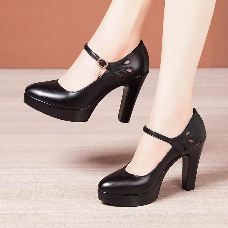 6 8 10cm Small Size 32-43 Shallolw Genuine Leather Shoes Mary Janes 2025 Fall Block High Heels Shoes Platform for Office Dress