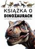 A Book About Dinosaurs