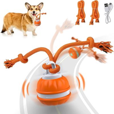 Hunde – Hundespielzeug