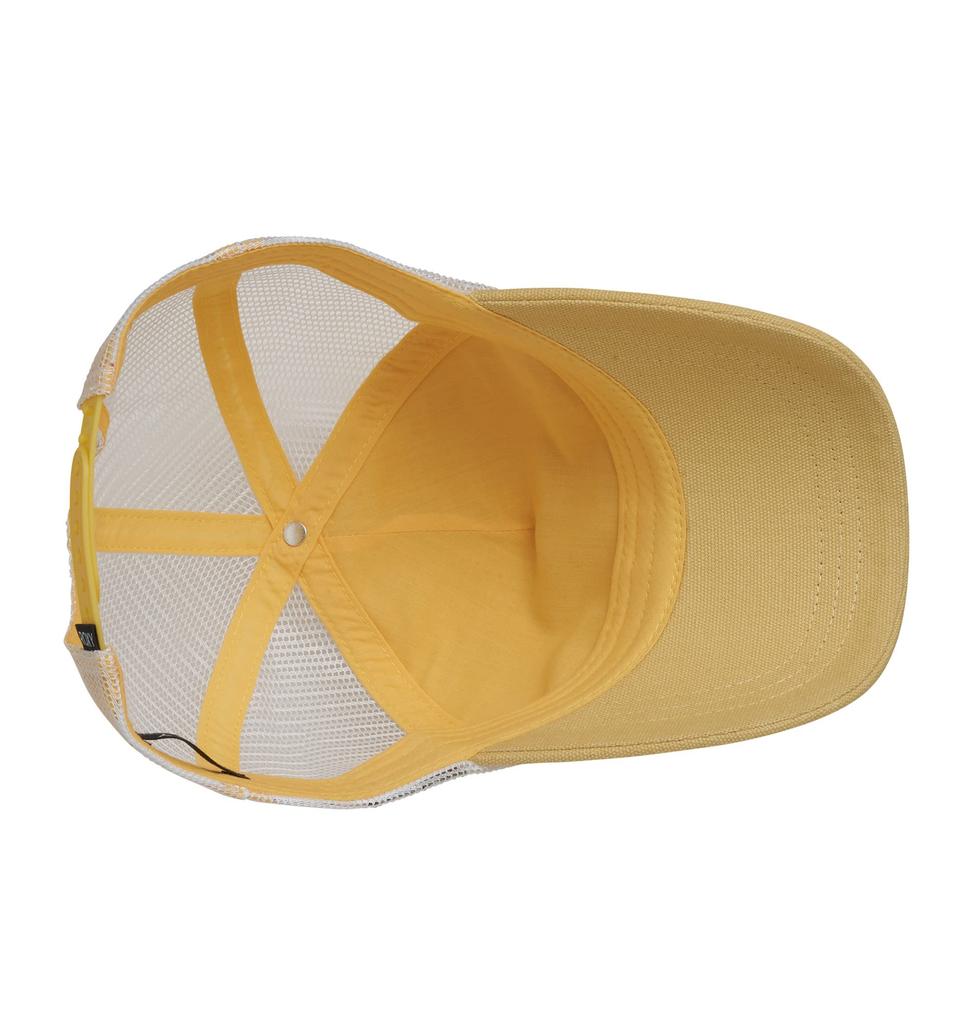 Cotton Twill Mesh Cap