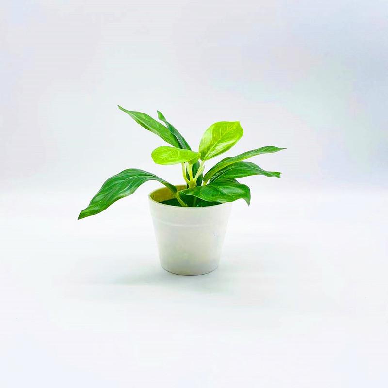 Home Simulation Green Small Potted Plants Desktop Decoration Fake Potted Landscaping Artificial Flowers Creative Ornaments