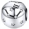 Aquarius Zodiac Sign Charms 925 Bead Pendant Charms 925