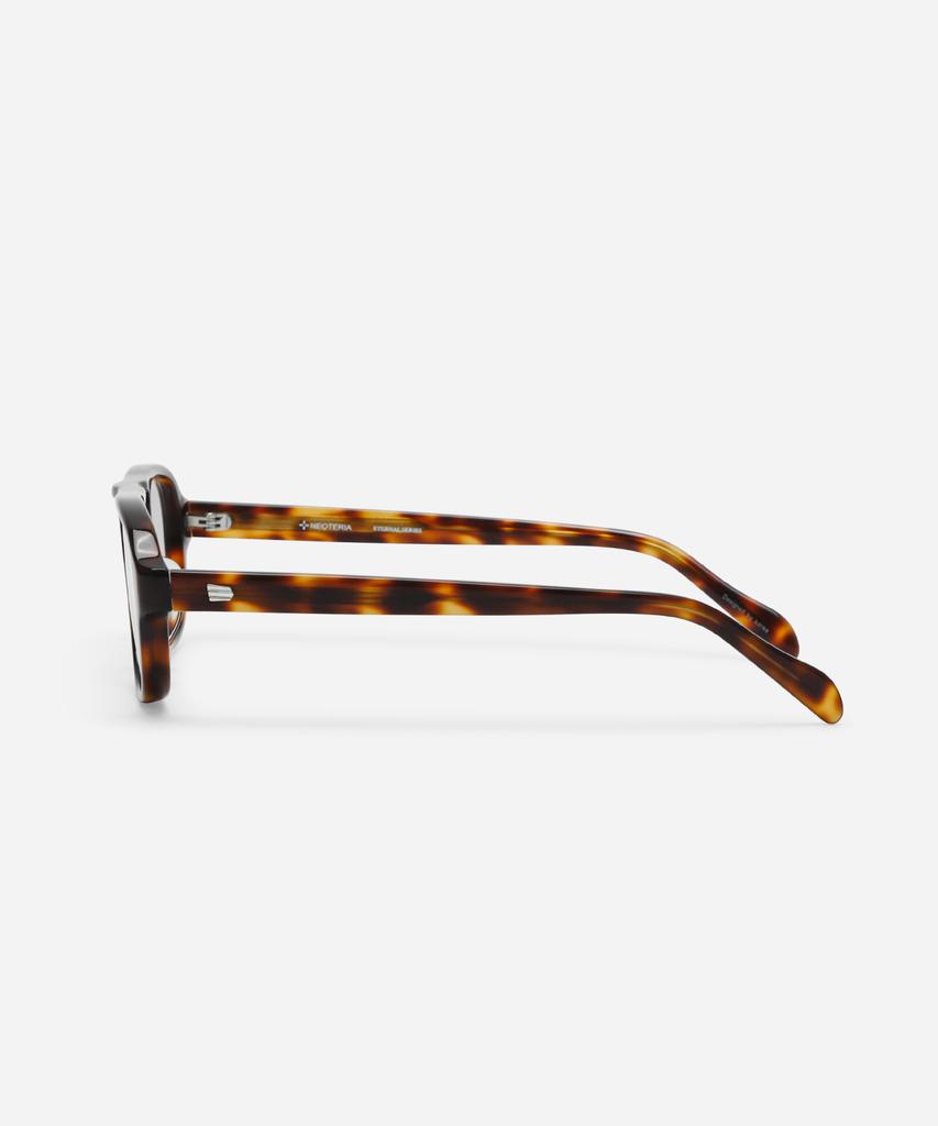 Neotelia Toenda · Leopard