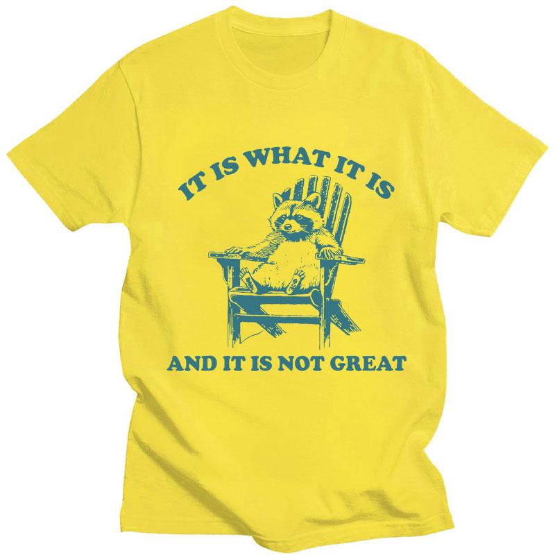 It Is What It Is and It Is Not Great Raccoon Meme T-Shirt Funny Opossum Popular Tshirt Unisex Fashion Cotton Casual Short Sleeve