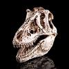 Tyrannosaurus Skull Trex Resin Fossil Model Dinosaur Collectibles Replica Craft