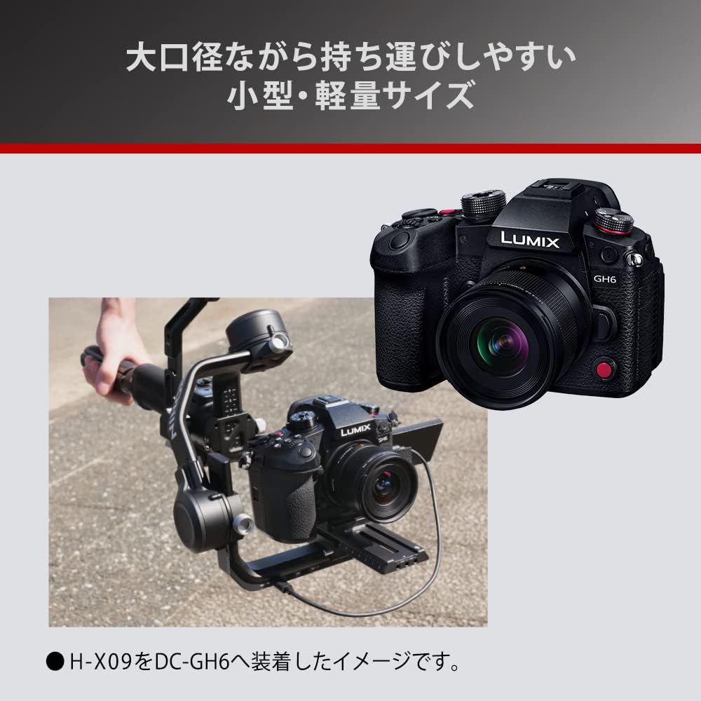 Panasonic H-X09 Wide-Angle Fixed Focal Length Camera Lens for LUMIX Digital SLR Cameras (Interchangeable Lens)