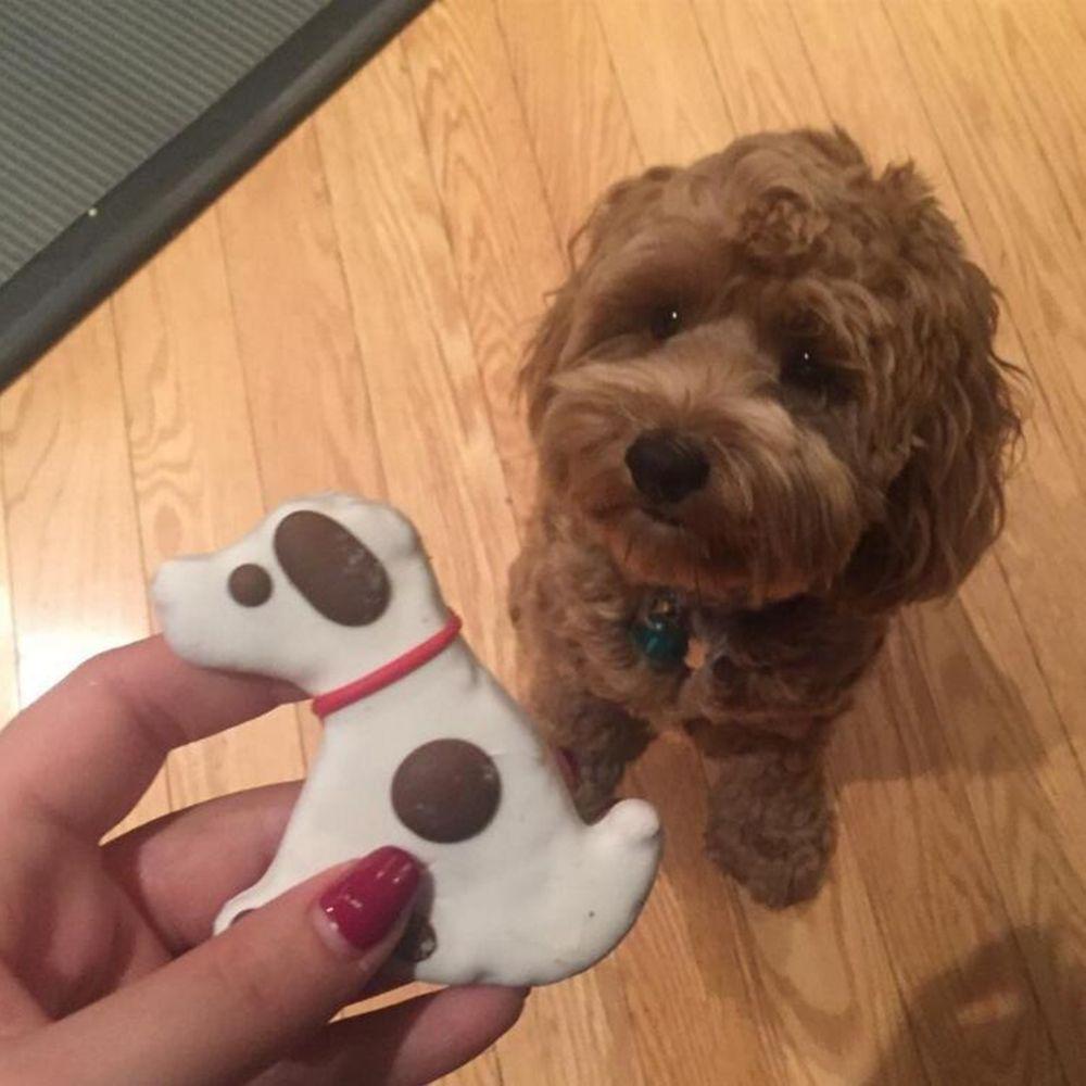 fondant dog bone