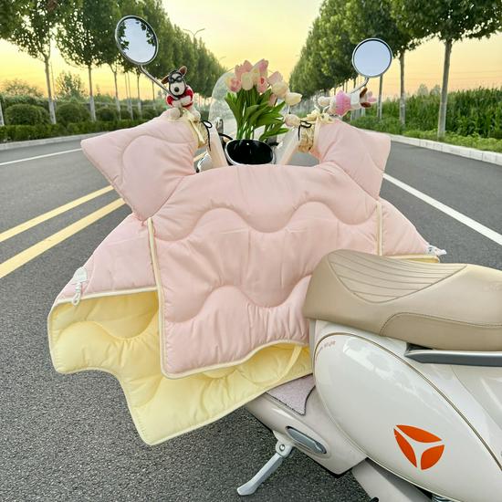 All-Season Electric Car Windshield Cover: Extra Large, Thick, Double-Sided & Waterproof with Side Wings