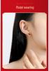 Tichiya Red Agate Earrings for Women - S925 Sterling Silver, Retro National Trend, Year of the Horse Design.