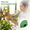 Plant Clips, Pothos Vine Fixing Clips, Plant Growth Clips, Garden Clips, Plant Climbing Wall Fixing Clips