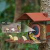 Outdoor Bird Feeder with Camera Automatic Parrot Feeder Drinker Food Container Cage Accessories for Small and Medium Parakeets
