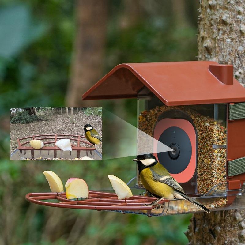 Outdoor Bird Feeder with Camera Automatic Parrot Feeder Drinker Food Container Cage Accessories for Small and Medium Parakeets