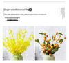 Nordic Ceramic Luxury Vase for Living Room - Minimalist Flower Arrangement Decor