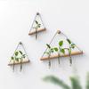 Elegant Wall Hanging Hydroponic Vase with Hemp Rope for Plants and Pothos