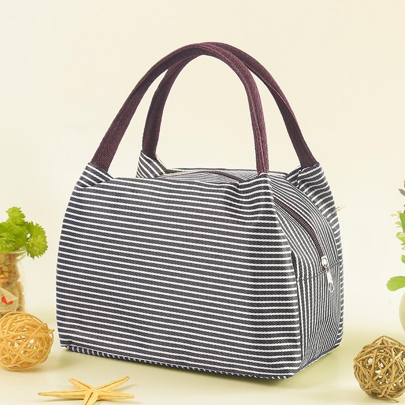 Insulated Lunch Tote for Students and Office Workers