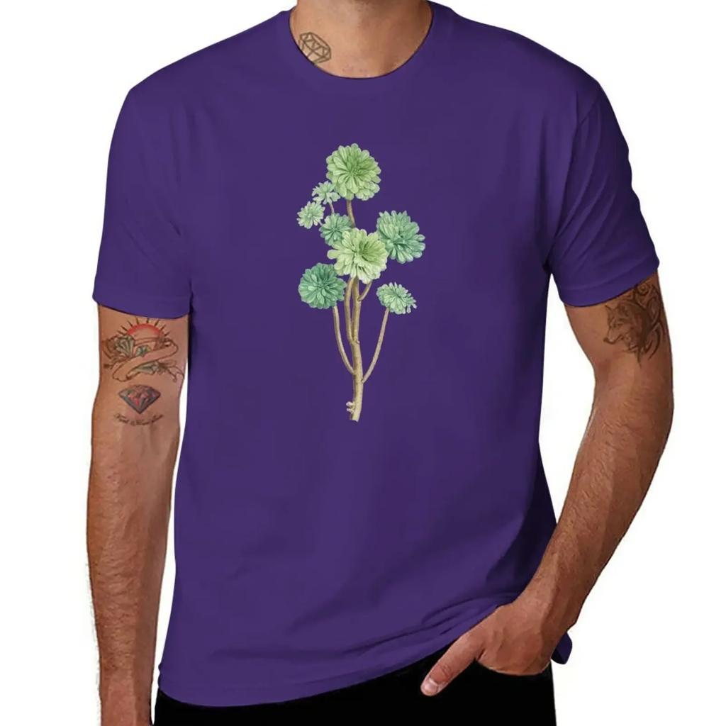 Sempervivum Arboreum T-Shirt shirts graphic tees blacks clothes for men