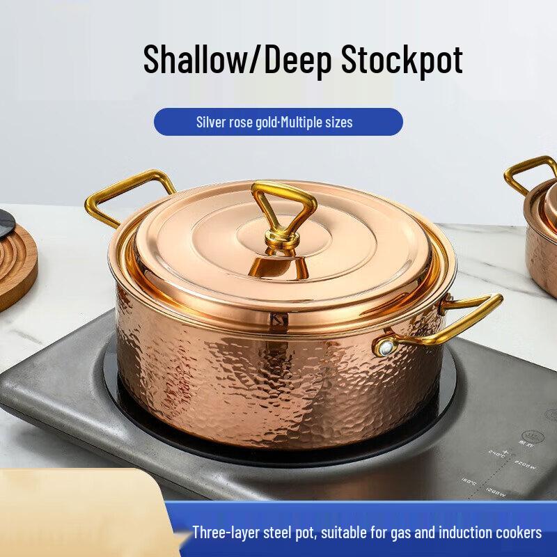 Danshizhiyuan 201 Stainless Steel Soup Pot