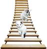 Umora Suspension Wooden Cat Cat Wall Relieve Relieve Lack of Easy To Bridge, Bed, Ladder, Playground, Hanging, Stress, Exercise, Assemble, 1.4m