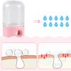 USB Nano Facial Spray Mist Spray Machine Face Moisturizing Atomization Sprayer