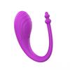 Wireless Bluetooth Control Wearable Vibrator G-Spot Vibrating Clitoris Massage Anal Stimulation Sex Toys for Women Couples