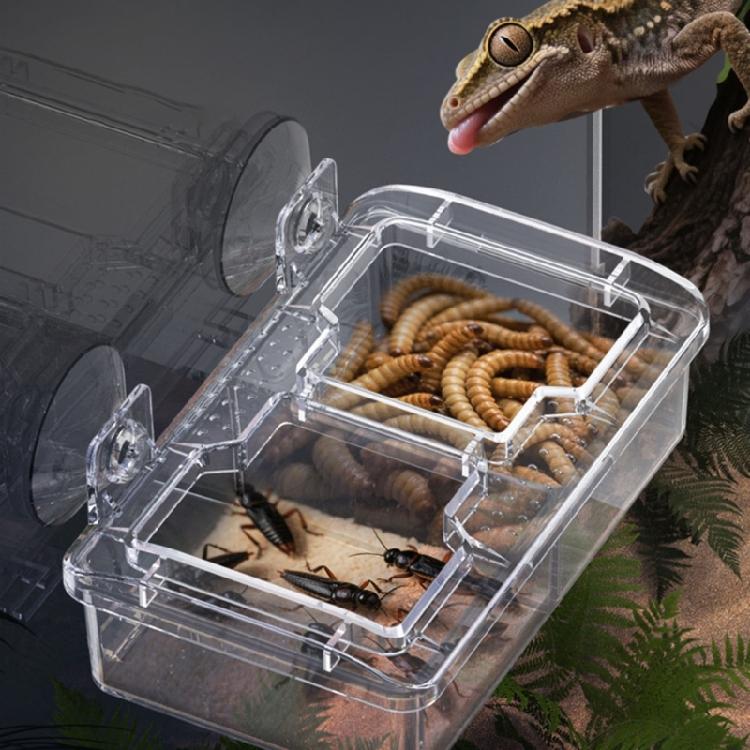 Suction Cup Reptiles Feeders, Reptiles Feeding Food Water Bowl Escape Proof Worms Dish Geckos Feeders Coloretto Bowl
