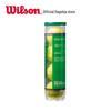Wilson Junior Training Tennis Balls