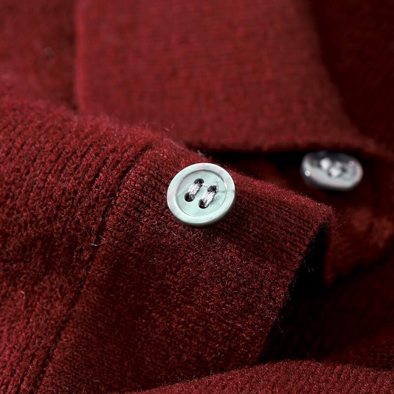 Antonio Men's Heavyweight Merino Wool Polo Sweater