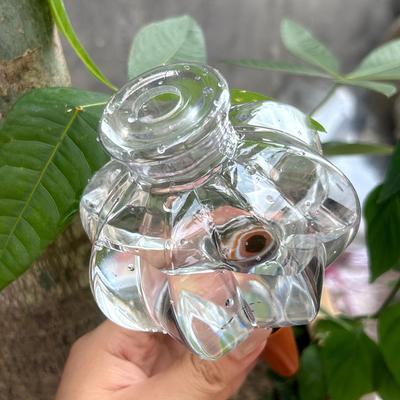 1 Pc Transparent Lantern-shaped Automatic Watering Device - Potted Plants Drip Irrigation Tool | Auto Watering, Easy Use
