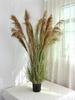 Natural Reed Faux Flowers & Potted Greenery for Home Decor