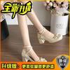 French Versatile Satin Bow Mary Jane Shoes Girl 2025 New Fairy Style Small Man Height Increase Light Mouth Single Shoes
