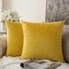 Dutch Velvet Solid Color Cushion Cover - No Logo Pillow Case for Office, Car, or Sofa