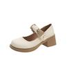 Mary Jane Shoes New Spring Thick Heel High Heel with Skirt Small Leather Shoes Fairy Gentle Wind Single Shoes