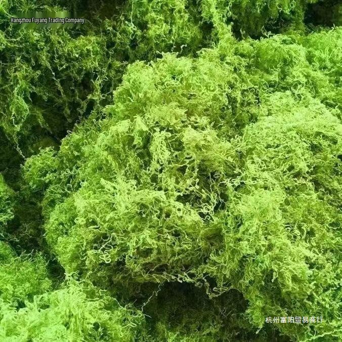 Artificial Jungle Moss Turf for Landscaping and Decor
