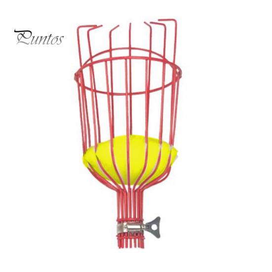 Fruktplockarstång Teleskopisk skarvbar stång med korg Metall Utdragbar plockstång Trädgårdsredskap för att skörda äpplen Apelsiner Avokado från High