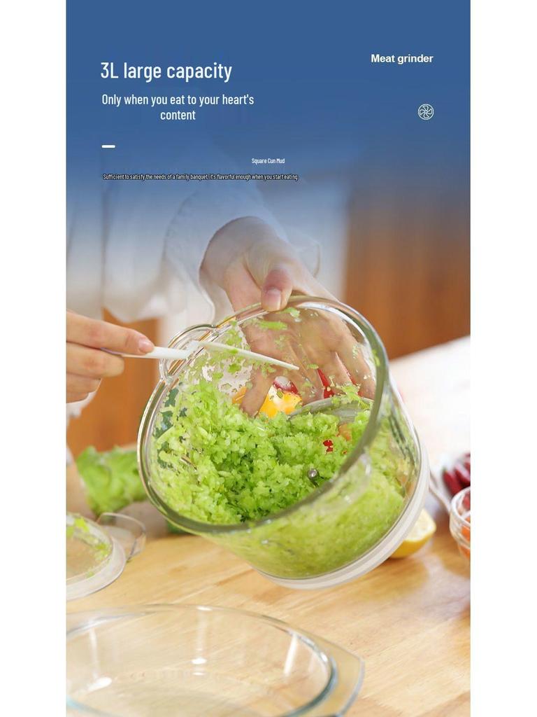 Multi-Functional Electric Meat Grinder & Food Processor for Home Use - Chops Vegetables, Makes Dumpling and Meat Fillings, Garlic Paste, and More