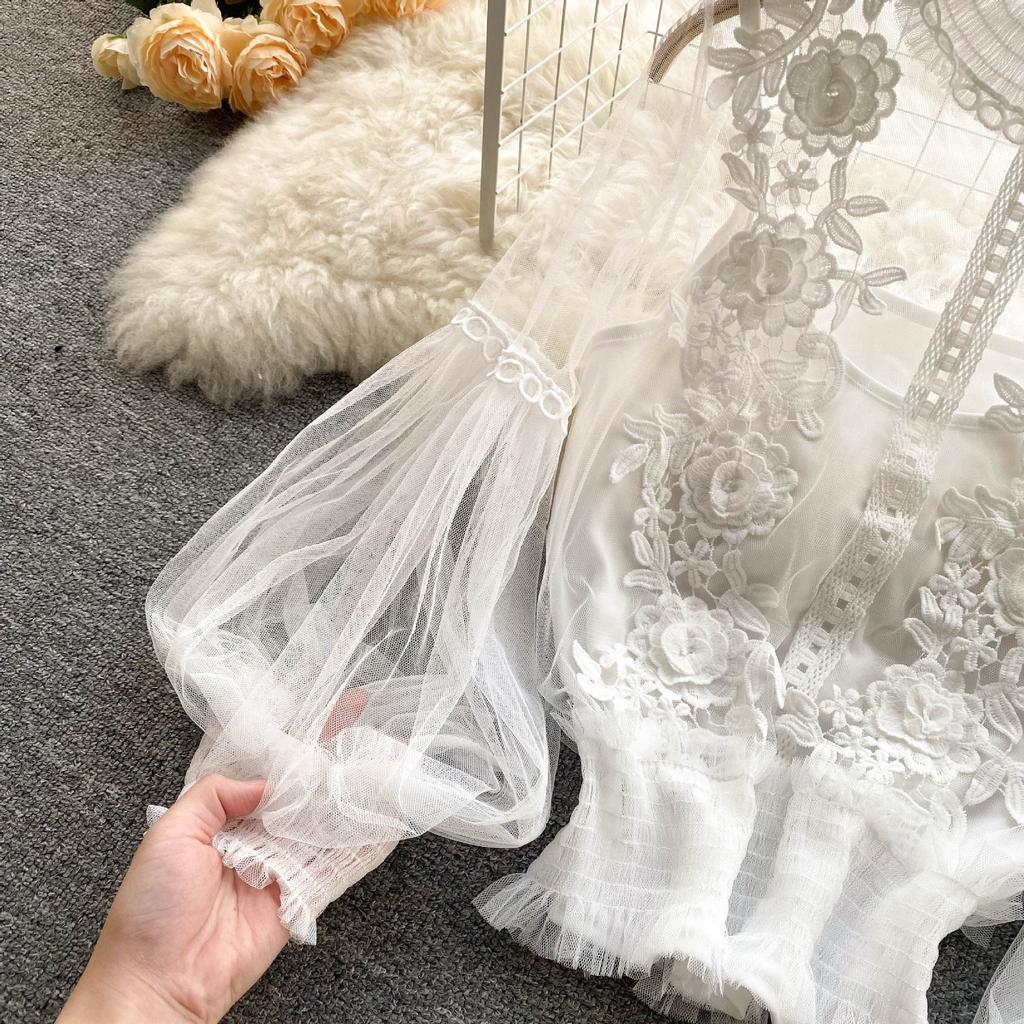 Danmo  Korean Style Chic Sexy Lace Blouse Women Long Lantern Sleeve Shirt Floral Elegant Mesh Blusas