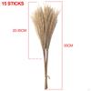 Dried Grass Bunch Bouquet Phragmites Reed Crafts Boho for Decoration Gift Birthday