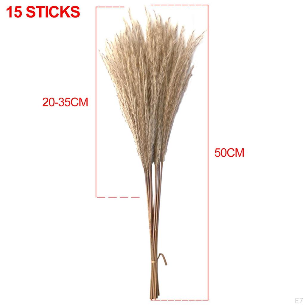 Dried Grass Bunch Bouquet Phragmites Reed Crafts Boho for Decoration Gift Birthday
