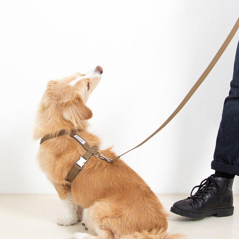 Foreverybari Harness (khaki Brown)